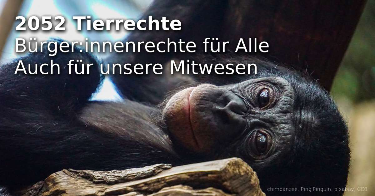2052_Tierrechte